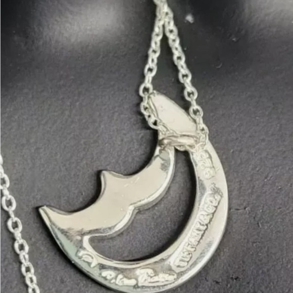 Tiffany & Co. Silver Moon Necklace - Picture 3 of 11